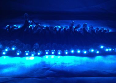 Lumière bleue de pixel de la couleur DC5V 5050 SMD Dmx LED, protection élevée IP67