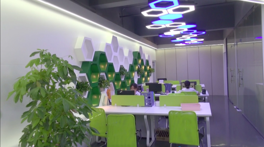 LA CHINE Shenzhen Xinhe Lighting Optoelectronics Co., Ltd. Profil de la société