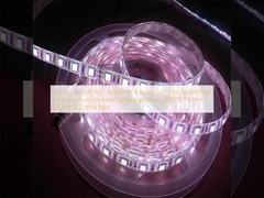 2m par ensemble avec une carte de PCB flexible à LED 5050 RGBW produits d'éclairage multifonctionnel de haute luminosité 5000*12*4.0mm DC24V LED