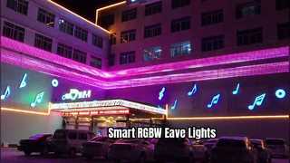 XH-G3003P12 (RVB) - J1c