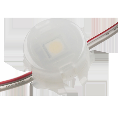 Le seul point IP67 imperméable léger 0.3W 12V 20mm de la couleur SMD 5050 LED a adapté aux besoins du client