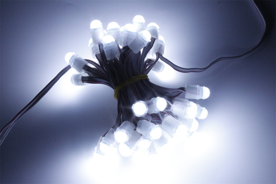 lumière de pixel de 9mm LED, lumière imperméable IP67 SMD2025 de DC12V 0.2W LED