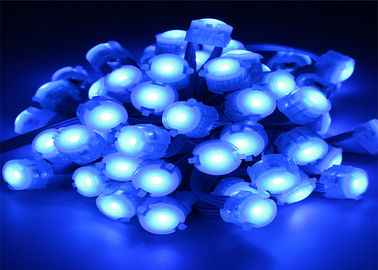 Lumière bleue de pixel d'IP67 0.25W DC12V 5050 20mm LED avec l'angle de faisceau 120