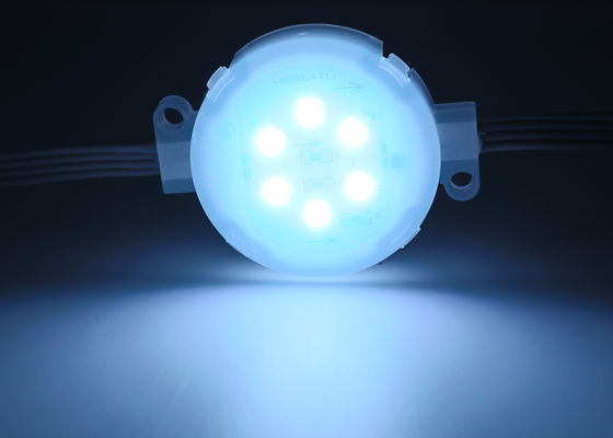 6LEDs/pcs Large Diameter 50MM LED Point Light Source for Park Building Outdoor Decoration