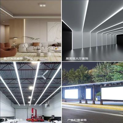 Customized Flexible Neon LED Light Strip Indoor Ceiling Landscape Application Various Colors Built-in Silicone