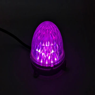 Waterproof LED Pixel Point Light for Theme Park Decoration Facade Lighting DC24V Voltage