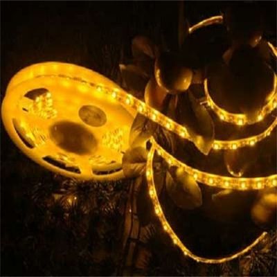 12V 2835smd 3000k 4000k 6000k Led Strip Light 24v Light Strip Waterproof 2835 Flexible Led Strip