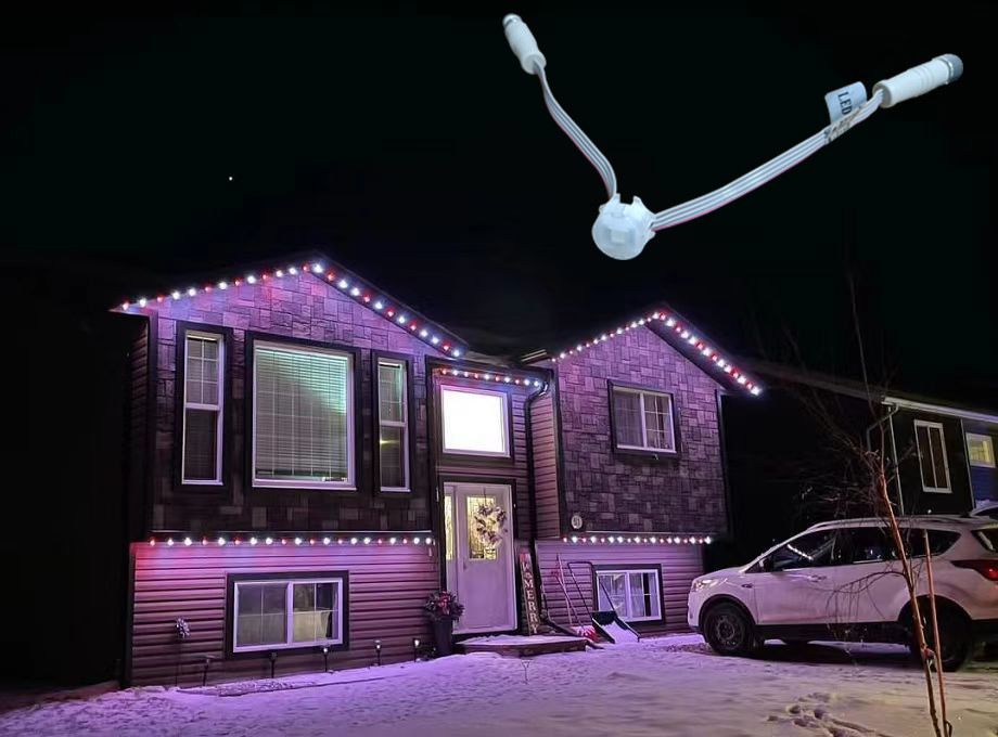 Les vacances permanentes LED dirigent la lumière 1903/2904 20mm imperméable légère de vacances de Noël d'IC