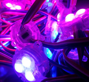 30mm SMD 5050 12V RVB ont mené le pixel avec polychrome-----11 ans fabriquant l'expérience