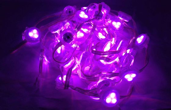 Rideau mené vert-bleu rouge en quirlande électrique de la température de couleur de pixel de RVB DC12V 1W