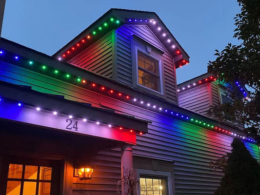 Permanent Holiday LED Point Light 20mm Waterproof 1903 / 2904 IC Christmas Holiday Light