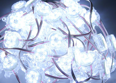Pixel blanc du signe DC24V LED des puces IP67 6 LED de RVB 30mm pour la boîte d'éclairage