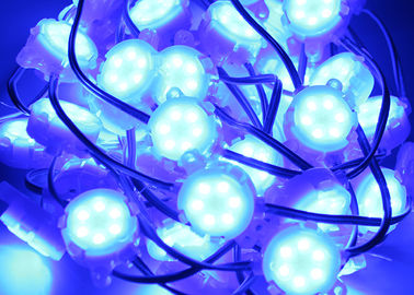 Le point bleu imperméable d'Epistar SMD 5050 RVB 30mm a mené extérieur léger