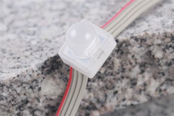 Haricot imperméable de miracle de couleur simple de la lumière IP67 DC12V 0.3W de pixel de SMD5050 LED
