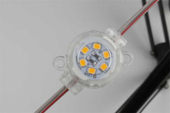 Lumière 1800K de Bean Point LED de miracle - la couleur simple SMD2835 de 6500K 0.6W imperméabilisent