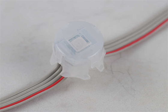 L'haricot de miracle a mené la lumière polychrome extérieure DC12V IP67 0.3W de pixel de point RVB