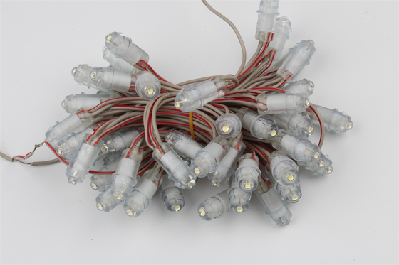 Lumière IP67 SMD2025 extérieure simple de pixel de la couleur LED de l'intense luminosité DC12V