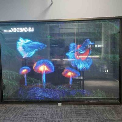 Affichage de film LED transparent à l'intérieur en couleur complète Écran LED transparent flexible