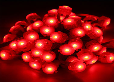 Le pixel imperméable de rouge de 0.25W 20mm a mené la lumière de volt LED de l'éclairage 12