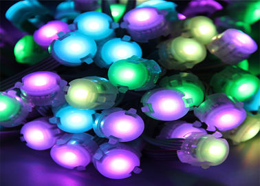 Couleur claire accessible programmable de point de 20mm LED changeant DMX512