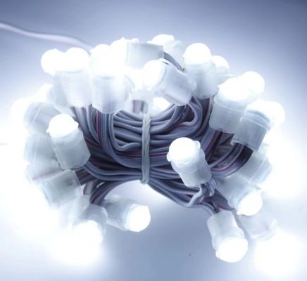 éclairage à LED blanc étanche à l'eau 50 LEDs DC 12V 9mm LED Pixel String Light