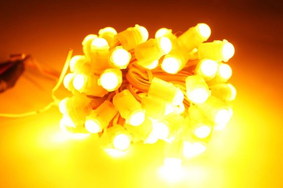 Miracle Bean LED Décorations de Noël LED Points lumineux de couleur unique LED Pixel Light