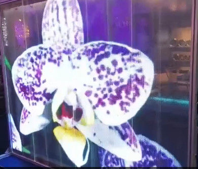 Adhésif à transparence flexible LED Film Écran mince Publicité Mur vidéo P6DC5V WE2121RGB 16 bits