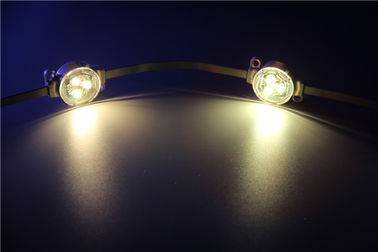 Lumière imperméable de point d'IP67 5050 SMD RVB 3pcs LED 30000 heures de durée de vie