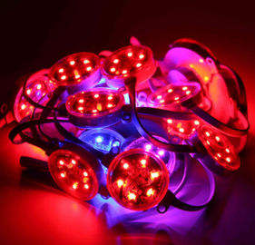 40mm extérieurs 50mm SMD3535 DMX Digital RVB ont mené le pixel IP67 imperméable