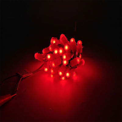 Miracle Bean LED Décorations de Noël LED Point de lumière de couleur unique LED programmable Pixel Light