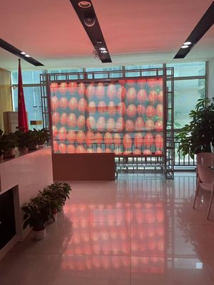 Écran LED à film adhésif flexible adhésif à LED écran à film transparent pour verre