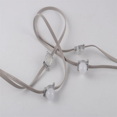 Vente en gros 24V SMD3535 IP67 Unique et RGB Couleur modifiable programmable LED Pixel Chain Light avec contrôleur