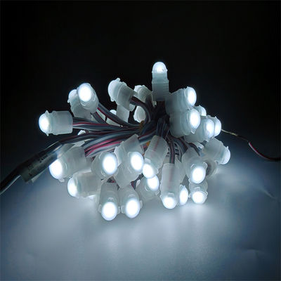 Bon prix IP67 étanche à l'eau LED Pixel Light DC12V 0.2W avec 30000 heures de durée de vie Décoration extérieure modifiable