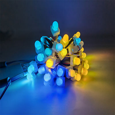 12mm Pixel LED Light Christmas Decoration Point Lights Waterproof IP68 12V Outdoor RGB Full Color