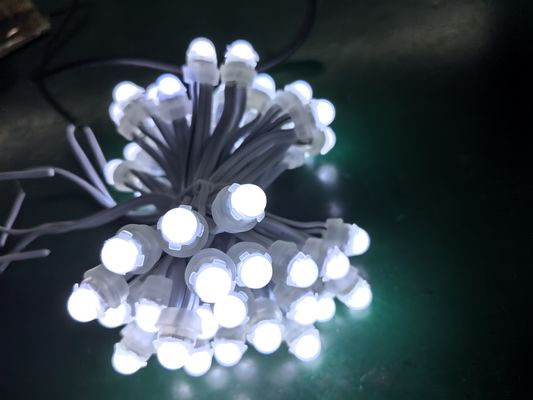 Lumières ponctuelles en PVC de 9 cm Source LED colorée et contrôle SPI pour applications paysagères