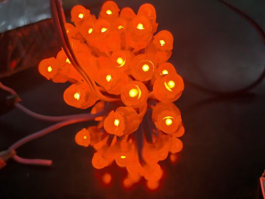Acrylique LED rétroéclairage RGBIC DC5V méduses lumières de Noël pour la décoration extérieure