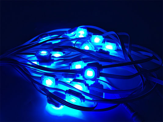 Colorful 25mm 24V 1.5W LED Eave Lights for Christmas Decorations