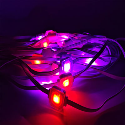 Permanent Outdoor LED Lights With CE Certification And 3 SMD5050 RGBW LEDs