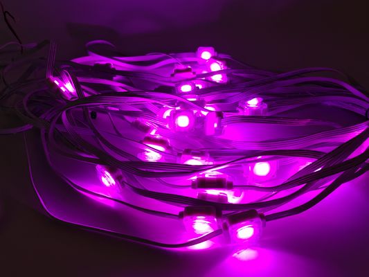 24V IP67 LED Outside Christmas Lights for Home Decoration SPI Control LED Suppliers