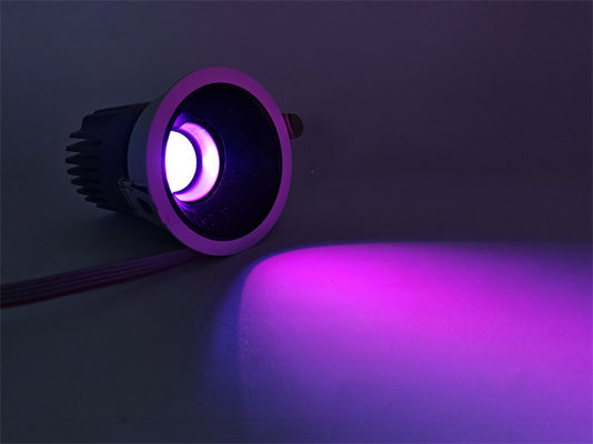 Réflecteur intérieur réglable 20W éclairage circulaire en couleur avec fréquence 50-60Hz