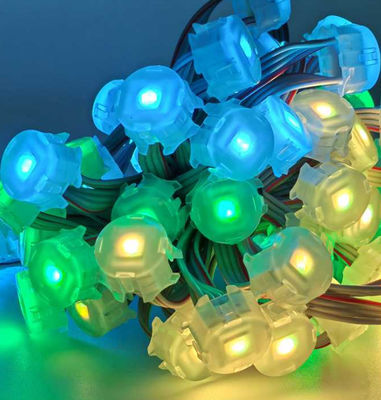 lumière de pixel de C.C 12V Digital RVB LED de 20mm pour le centre commercial, ficelle de pixel de LED