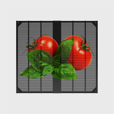 IP65 Indoor Outdoor Transparent LED Grille Screen Retail Store Exhibition Hall Welcome Graphics Digital Signage Displays