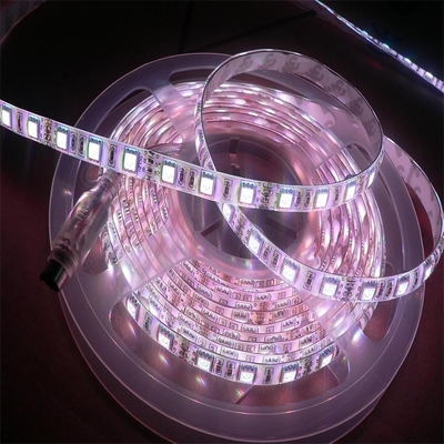 FPC flexible PCB Board LED 5050 RGBW haute luminosité produits d'éclairage multifonctionnels 5000*12*4.0mm DC24V Bande lumineuse LED