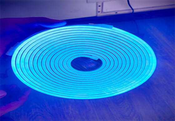 Lumière à bande LED néon DC12V à couleur pleine haute luminosité RGB pour l'éclairage de bande murale flexible