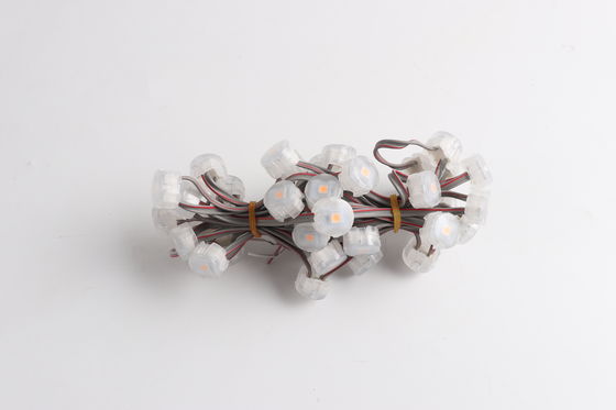 High Quality High Brightness 20mm RGBW LED Point Light 5V 0.4W IP67 Amusement Funfair Landscape Mini LED Point Light