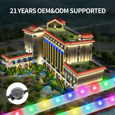 Lumières de point LED à transmission longue distance de 48V avec 3535 puces LED pour Noël Décoration de paysage de parc à thème Système d'éclairage extérieur de festival