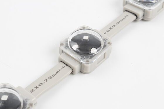 25mm IP67 Waterproof RGB LED Point Light with DMX512 Control and 120° Beam Angle for Indoor Outdoor Screens