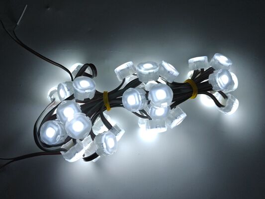 22.83mm 12V IP67 étanche à l'eau LED Point Light avec angle de faisceau de 120 degrés Fabriqué en matériau PC