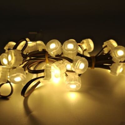 Éclairage ponctuel LED SMD5050 20mm DC5V étanche IP67 en matériau PC flexible