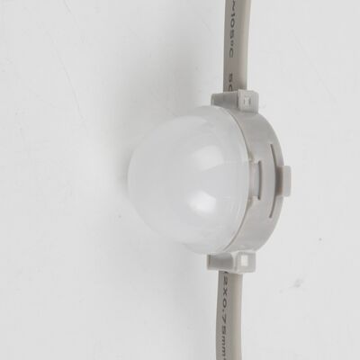 Point lumineux LED étanche IP67 haute luminosité équipé d'une lentille pour la décoration de linteau commercial et l'attraction du trafic piétonnier